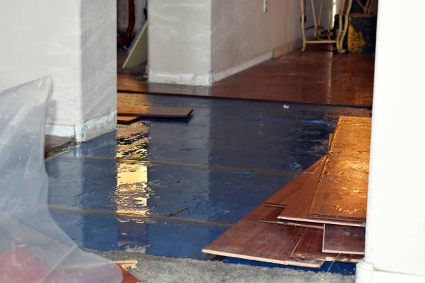 Professional Burst Pipe Cleanup technician working in Porters Falls, WV